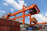 China's Chongqing approved as port of entry for imported drugs
