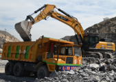 China's excavator makers report drastic sales surge