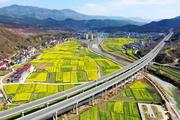 Japan should view China's development with more positive mentality: Chinese FM 