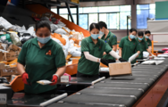 April figures show China's logistics activity still booming