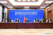 Chinese FM calls for expanded cooperation with Europe 