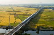 Economic Watch: Development resilience consolidates steady recovery of Chinese economy