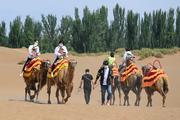 China expected to see robust tourism in upcoming holiday: report