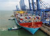China a crucial player in logistics industry's decarbonization: Maersk