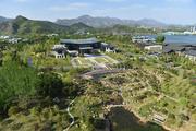China reports across-the-board improvements in eco-environment