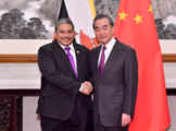 China, Brunei to strive for new progress in bilateral ties: Chinese FM