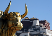 Inclusive finance benefits small firms, farmers in Tibet