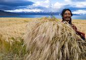China's Tibet sees GDP up 7.2 pct in Q1-Q3