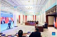 Chinese premier meets Cambodian PM via video link