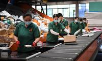 China's logistics sector reports contraction in April