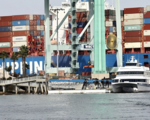 Yearender-World Insights: China key as global economic recovery struggles