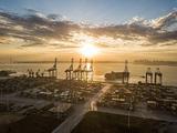 China takes multiple measures to ease container shortage