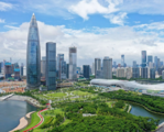 China's economy maintains recovery momentum in November