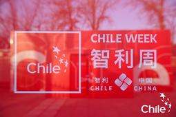 China is very important market for Chile, ambassador