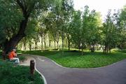 Beijing to become greener this year