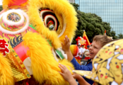 China Focus: Int'l talents enjoy Chinese New Year celebrations