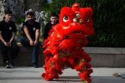 Malta holds dragon and lion dance to celebrate China's Spring Festival