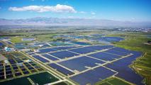 Carbon neutrality push promises robust growth for China's green bond market