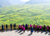 China steps up financial support to rural revitalization