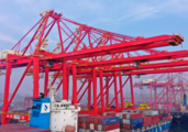 Overseas experts, business leaders see strong resilience in China's economy