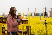 China's newly developed rapeseed variety sets yield record