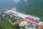 China makes good start in promoting rural vitalization: official