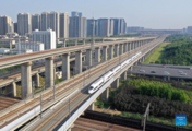 Zhengzhou-Chongqing High-speed Railway starts full operation