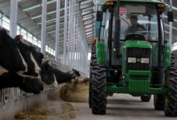 China's dairy industry output tops 15 mln tonnes in H1