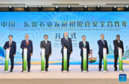 Chinese vice premier calls for deepening China-ASEAN agricultural cooperation