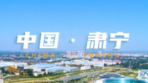 N. China's Suning thrives with e-commerce