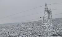 State Grid Henan guarantees power supply during snow storms 