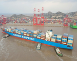 China, LAC countries forge new chapter in solidarity, cooperation