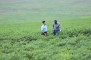 World Insights: How China-Africa industrial chain drives continental growth