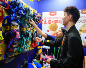 Yearender: China's 2025 consumption keywords highlight fresh upgrading in super-large market><span class=