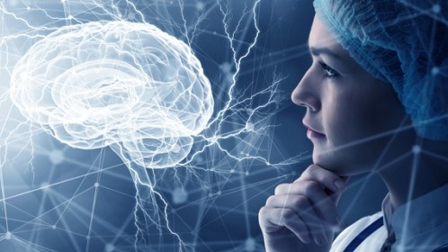 Chinese university to develop brain science with Blue Brain Project