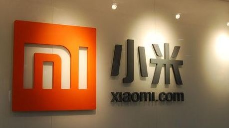 Tech giant Xiaomi reports 20 pct revenue growth in H1