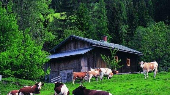 China pledges efforts to develop family farms