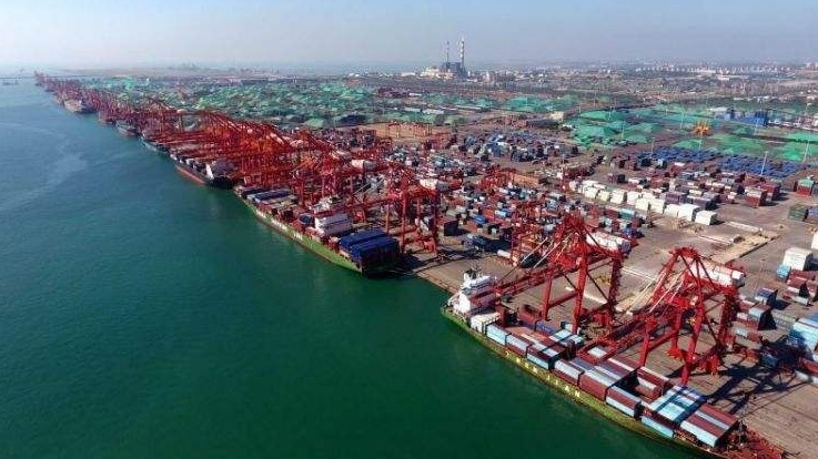 BRI emerges as most effective instrument of globalism, int'l development cooperation: Pakistani FM