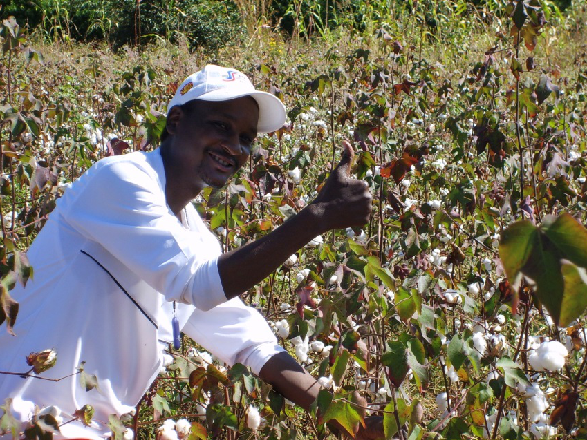 South-South In Action -- China-Africa Cotton Project