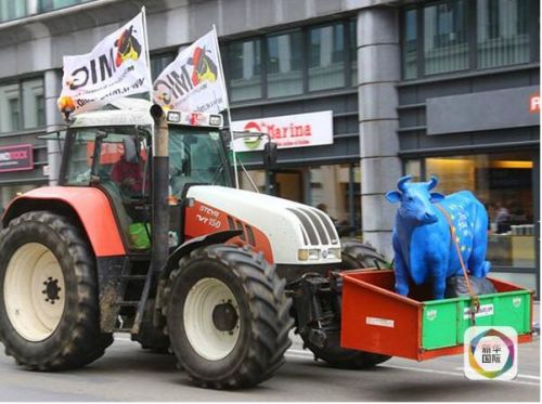 　2015年9月7日，布鲁塞尔欧盟总部附近，欧盟农民抗议欧盟的农业政策导致牛奶及肉类价格过低。