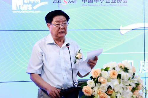 图为中国中小企业协会会长李子彬在工业园启动仪式上发言