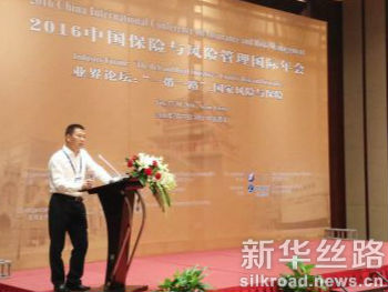 图为刘峰主任在2016中国保险与风险管理国际年会上发言