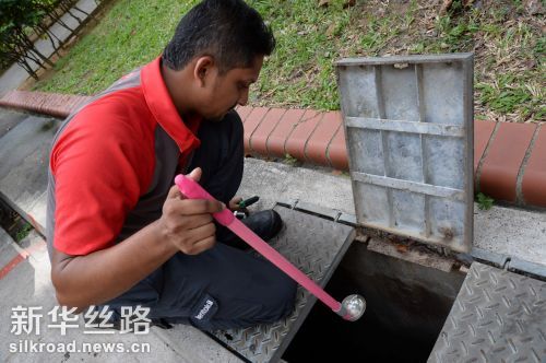 9月2日，一名蚊虫防控工作人员在新加坡一处住宅区查看排水沟内的情况 新华社　法新