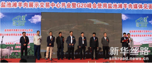 图片1