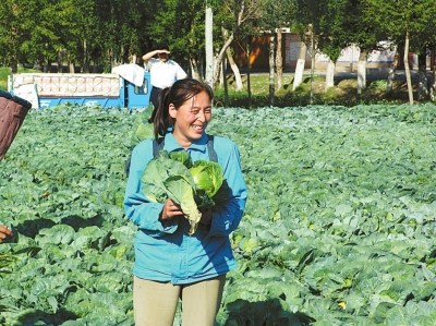 甘肃高原夏菜打出品牌，助农增收。