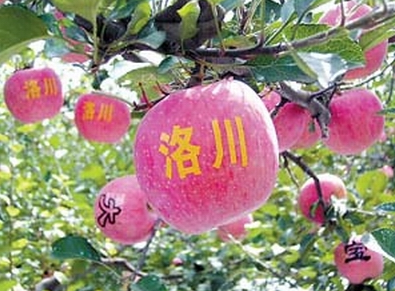 资料图