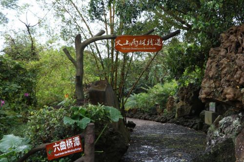 雨林栈道