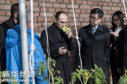 2月3日，格鲁吉亚农业部长达维塔什维利(中)在格鲁吉亚马尔内乌利考察中国援助格鲁吉亚蔬菜大棚种植第一期技术合作项目 新华社发（伊杜阿什维利 摄）