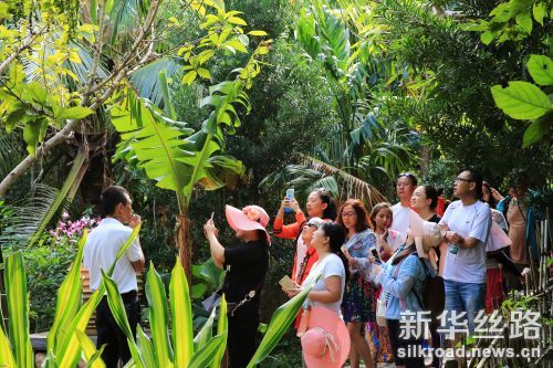 2月8日,海南三亚旅游景区节后错峰游持续火爆,图为中外游客在亚龙湾热带天堂森林旅游区参观游览的情景。(黄庆优摄) (3)