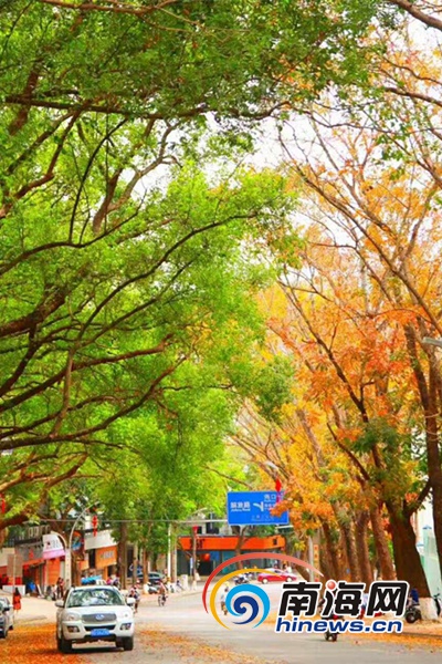 00301619778_2fbee2f5